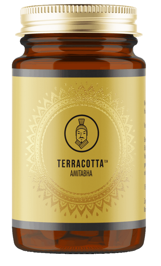 Amitabha - Terracotta TCM